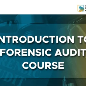 Introduction to Forensic Audit