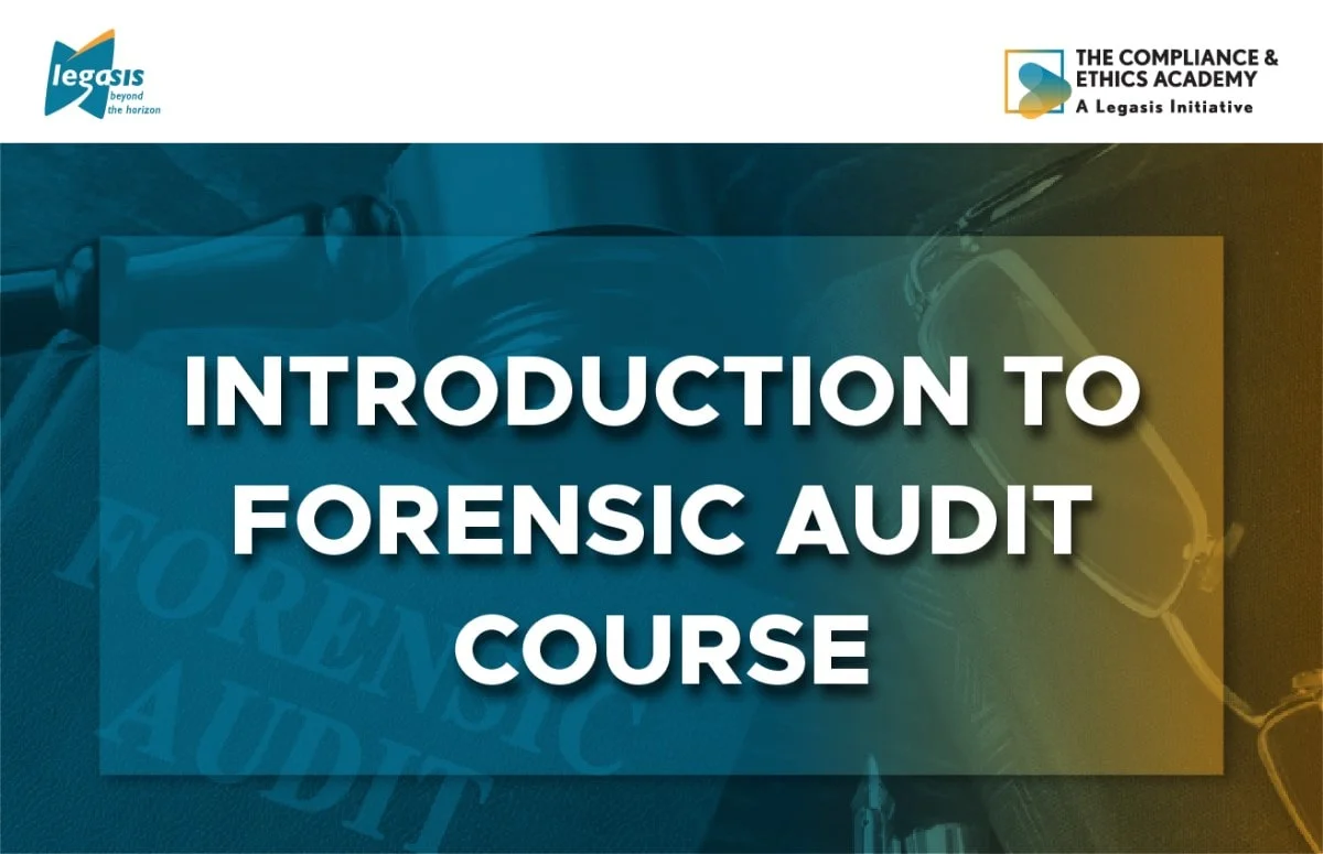 Introduction to Forensic Audit